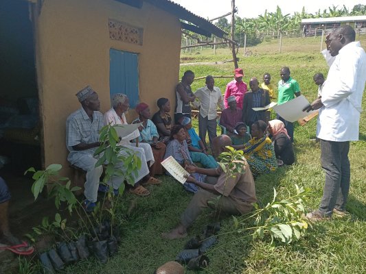 A group receives seedlings and health information
